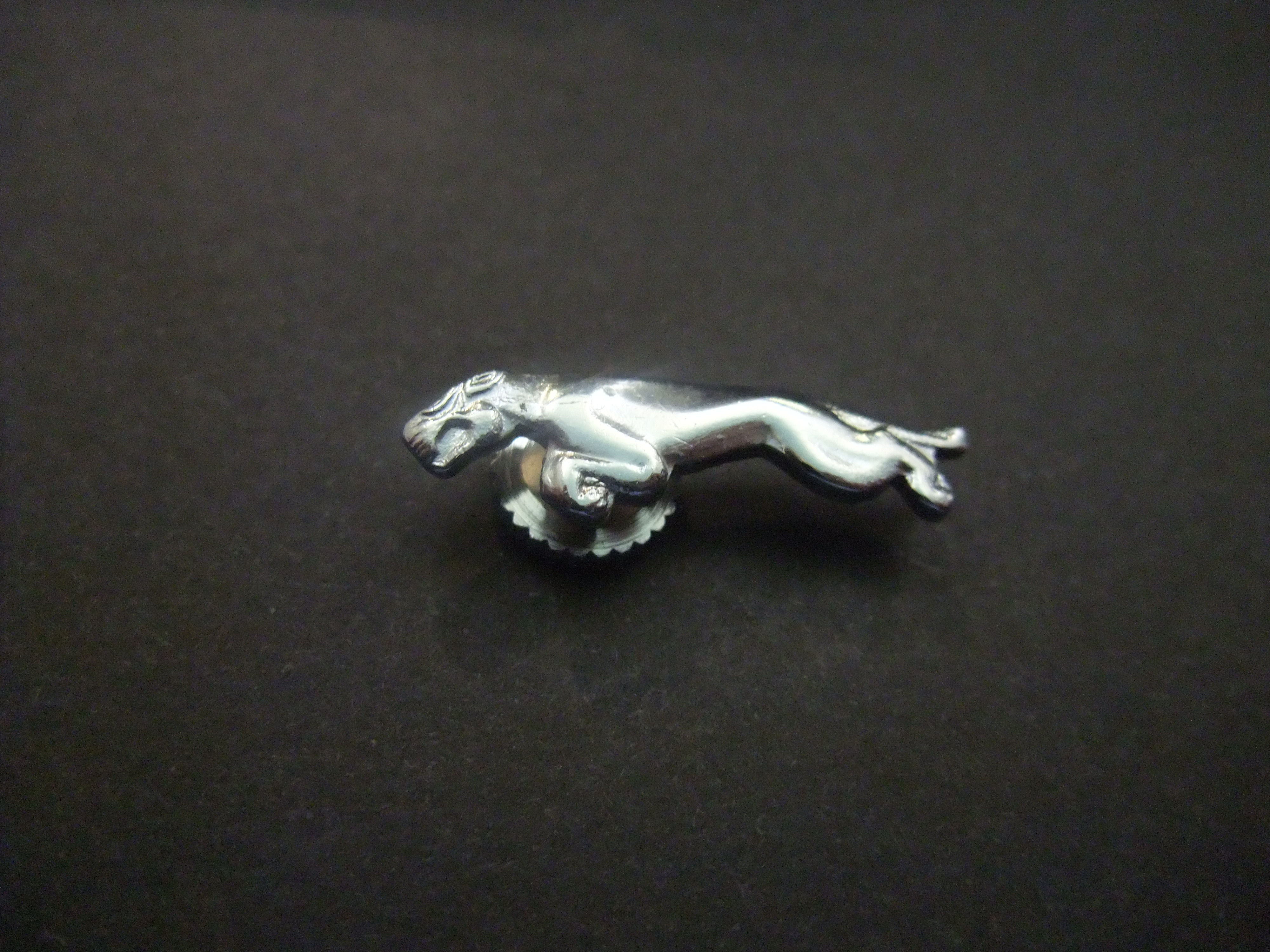 Jaguar zilverkleurig logo